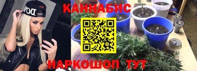 гашиш Кимры