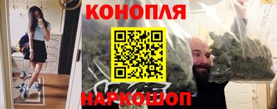 герыч Кингисепп