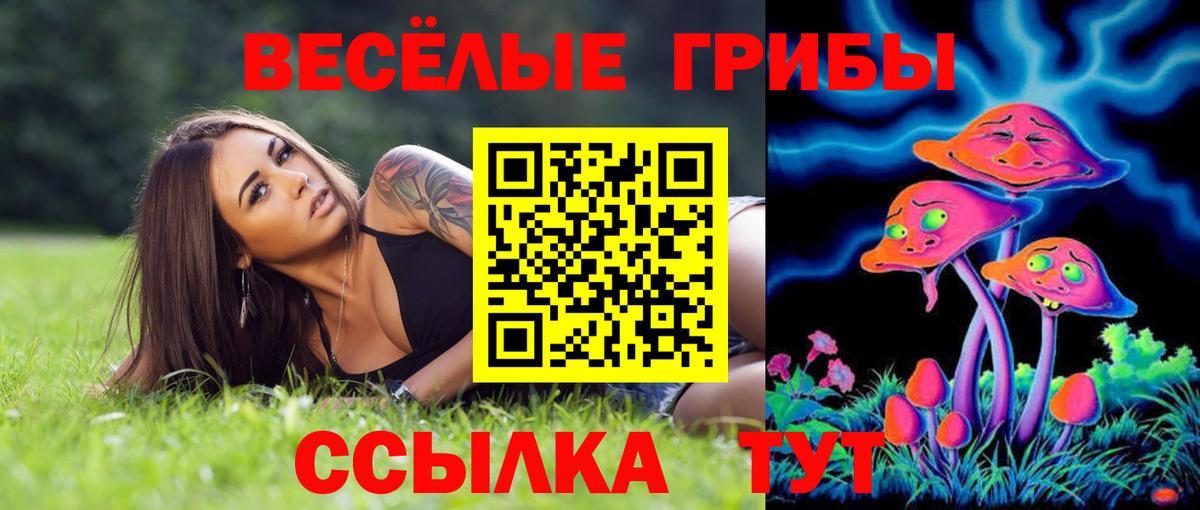Псилоцибиновые грибы прущие грибы Мценск